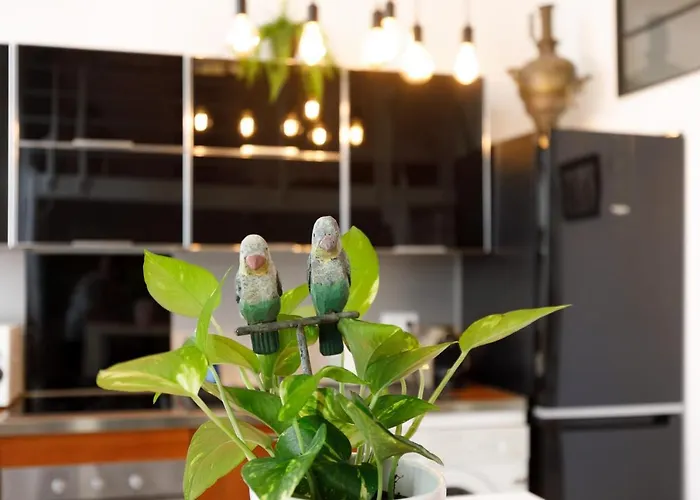 Superb Air-conditioned Loft In The Heart Of Viel Antibes