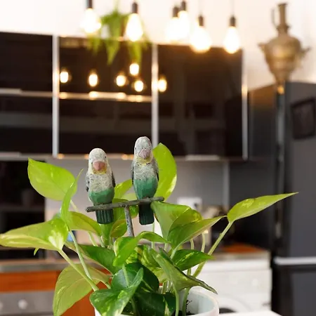 Superb Air-conditioned Loft In The Heart Of Viel Antibes